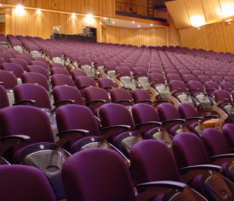 Modern Auditorium Chair