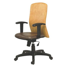 Conference Hall Chair